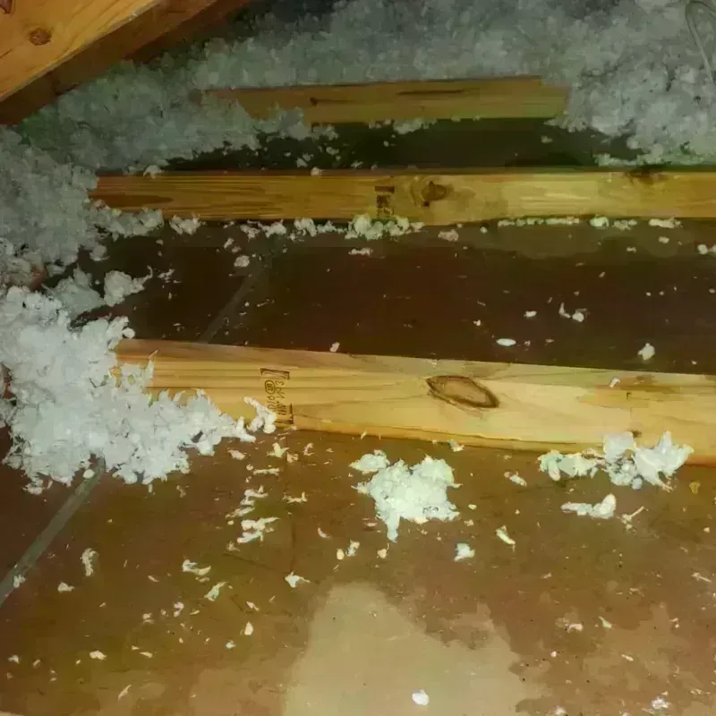 Attic Water Damage in Naples Park, FL